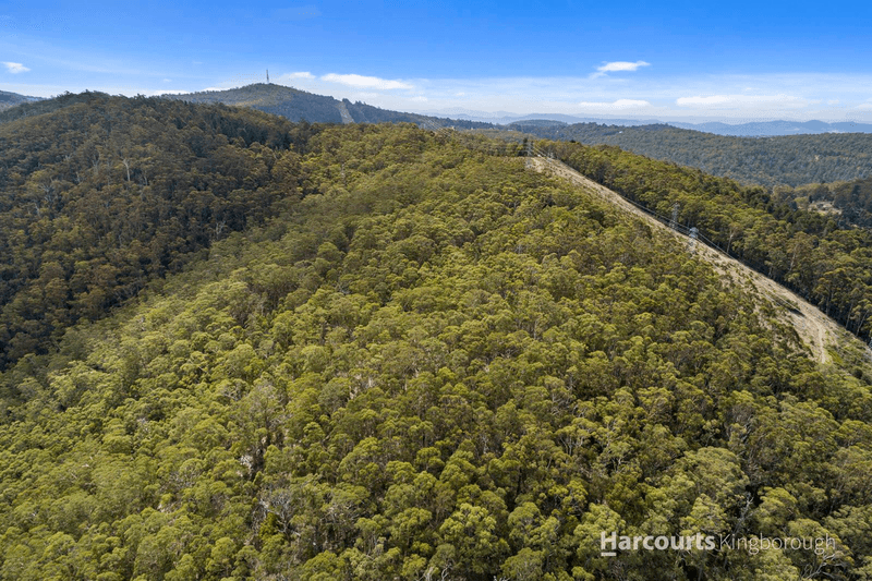 651 Summerleas Road, FERN TREE, TAS 7054