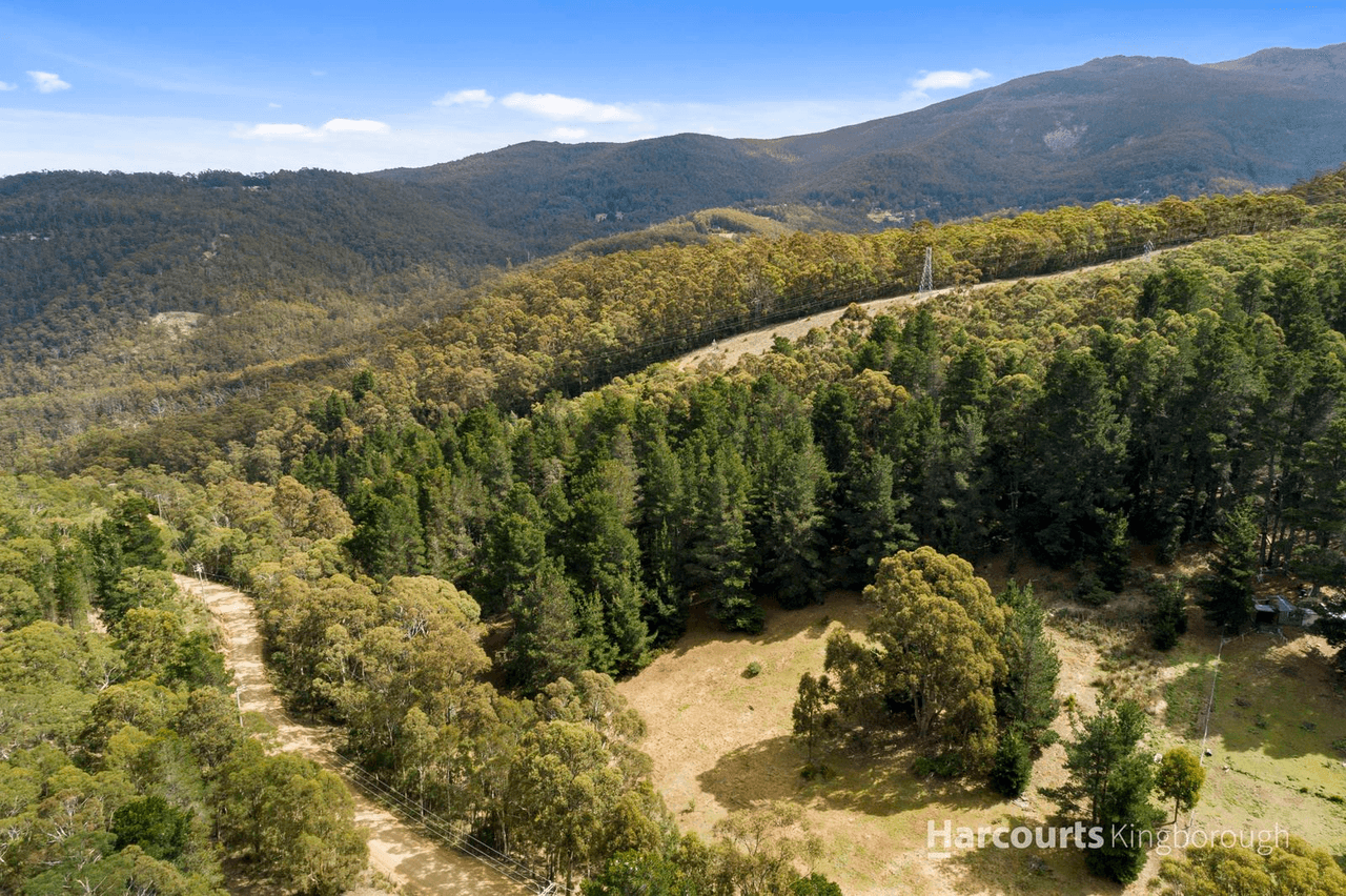 651 Summerleas Road, FERN TREE, TAS 7054