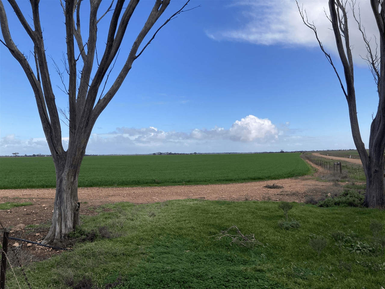 Secs 8-10 &amp; 25 Paskeville - Cunliffe Road, Paskeville, SA 5552