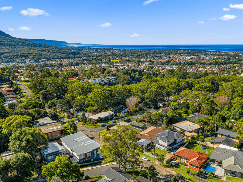 202 Brokers Road, MOUNT PLEASANT, NSW 2519