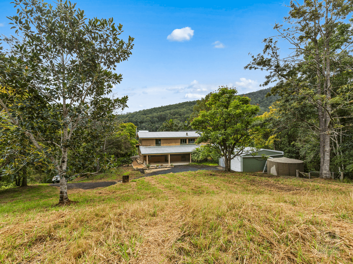 1345 Tyalgum Road, Eungella, NSW 2484