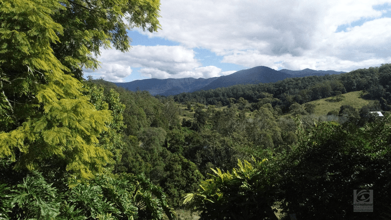 1345 Tyalgum Road, Eungella, NSW 2484