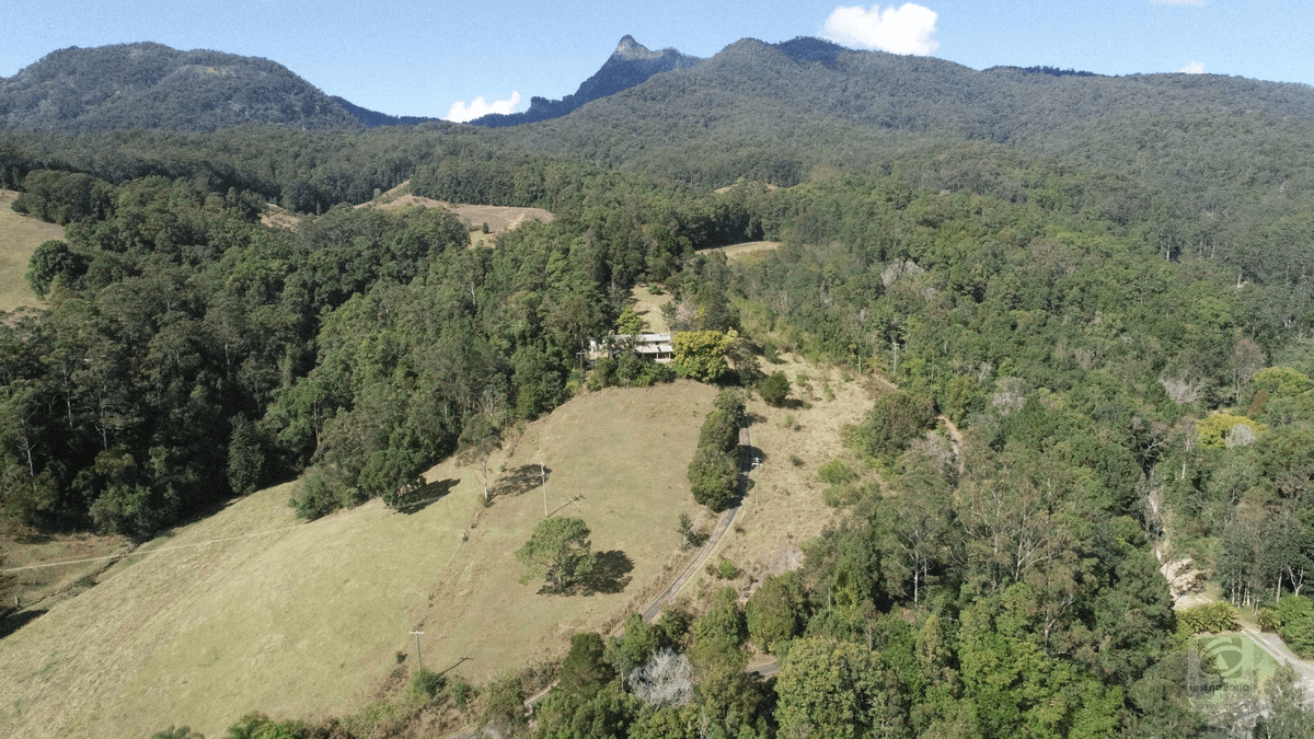 1345 Tyalgum Road, Eungella, NSW 2484