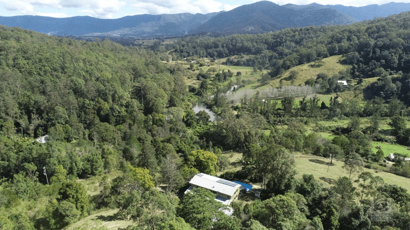 1345 Tyalgum Road, Eungella, NSW 2484