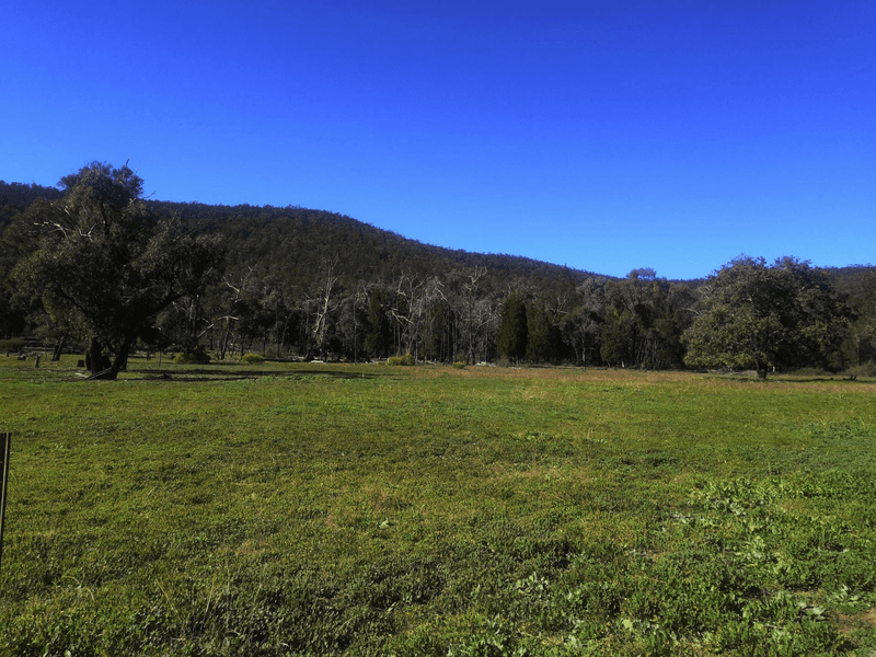 1065 Kangarooby Rd, GOOLOOGONG, NSW 2805