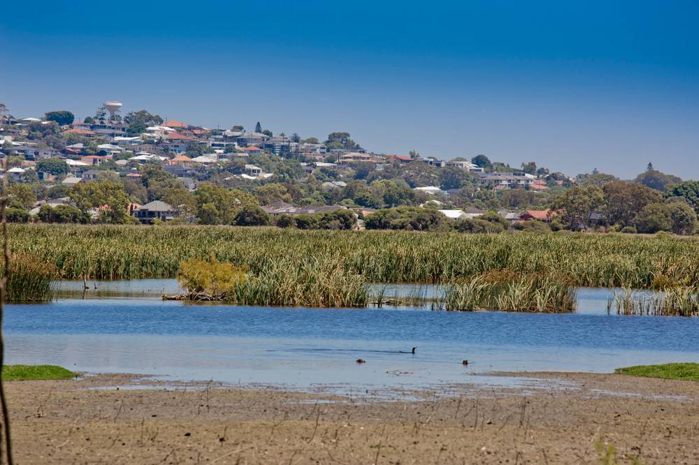 1/75 Herdsman Parade, WEMBLEY, WA 6014