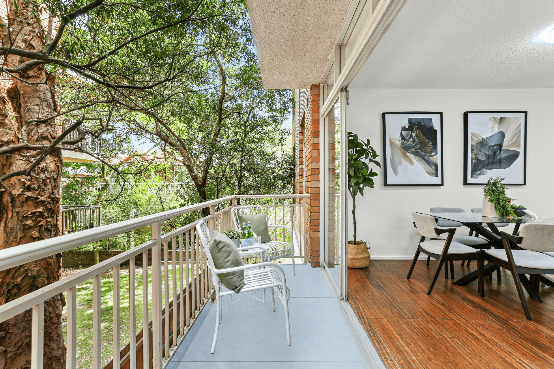 1/56 Chaleyer Street, Rose Bay, NSW 2029