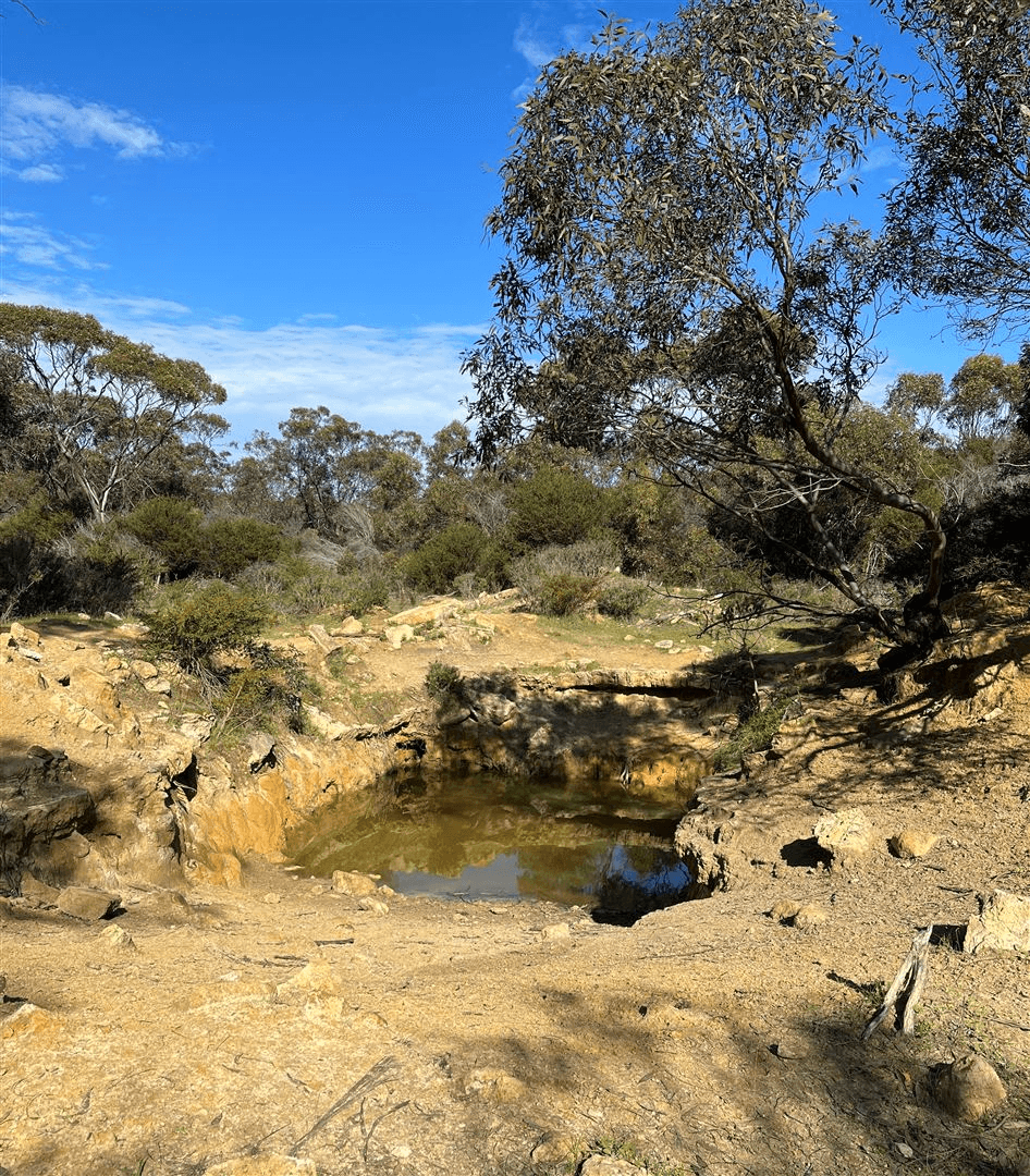 3600 Flinders Highway, WANGARY, SA 5607