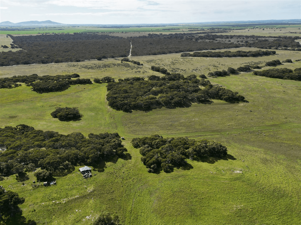 3600 Flinders Highway, WANGARY, SA 5607