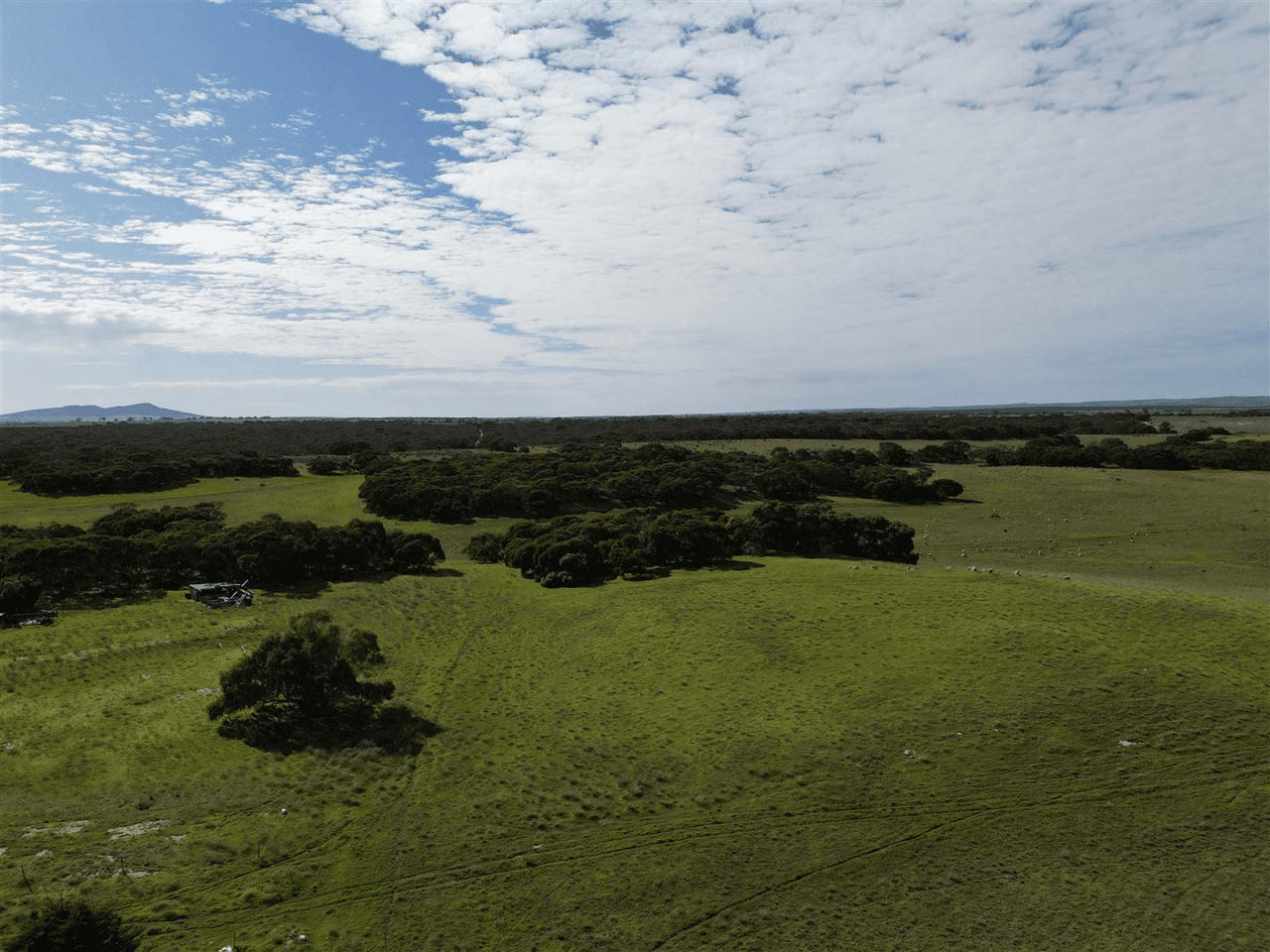 3600 Flinders Highway, WANGARY, SA 5607