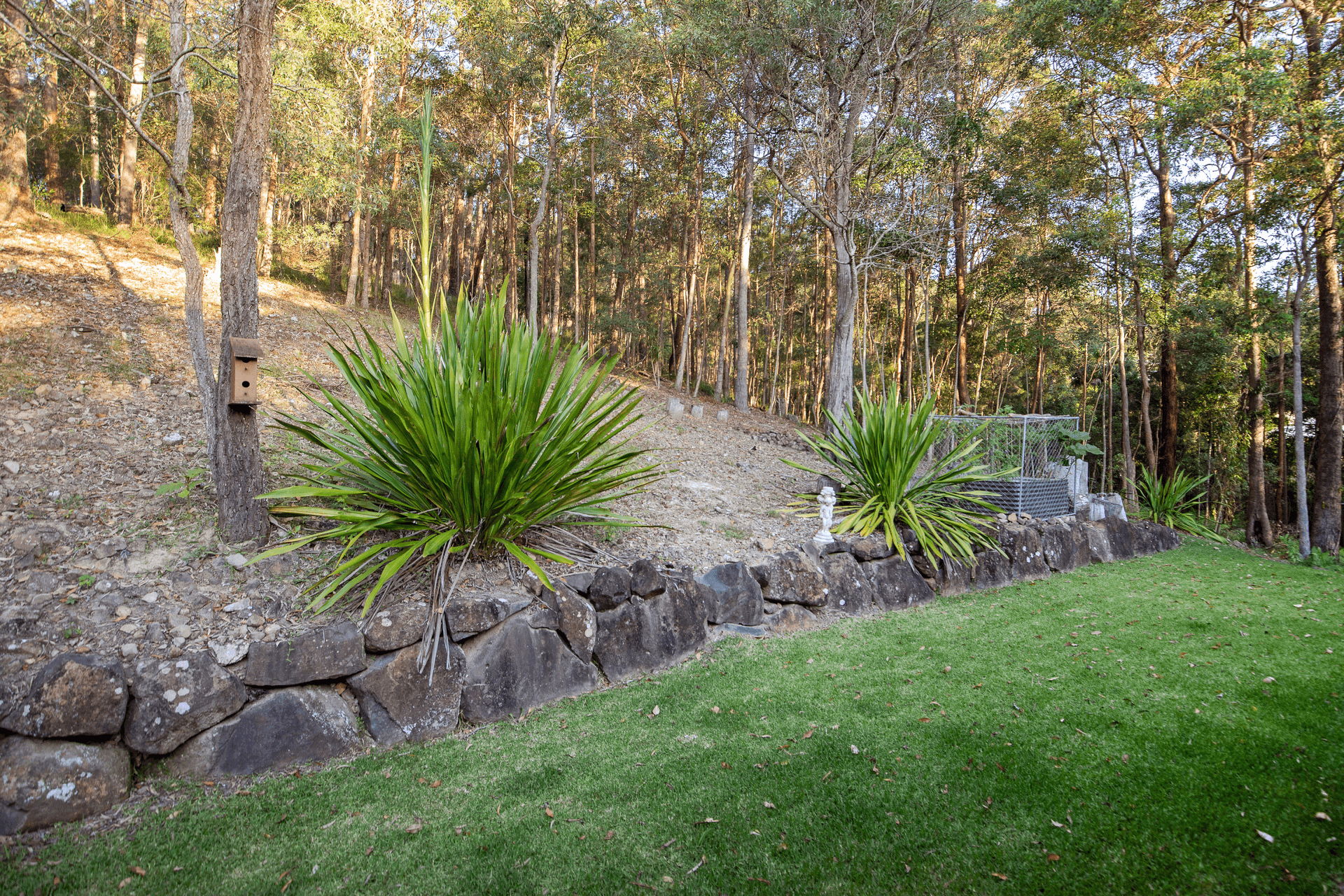 41 Forest Drive, Elanora, QLD 4221