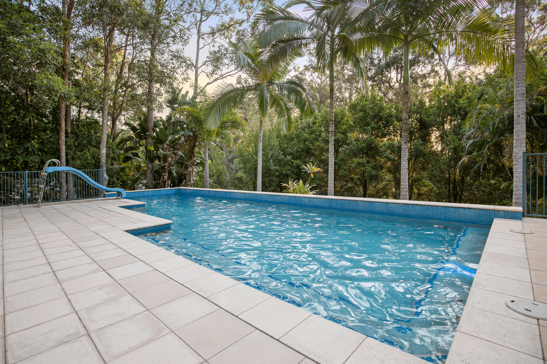 41 Forest Drive, Elanora, QLD 4221