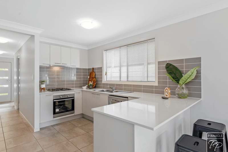 38 Logging Crescent, Spring Mountain, QLD 4300