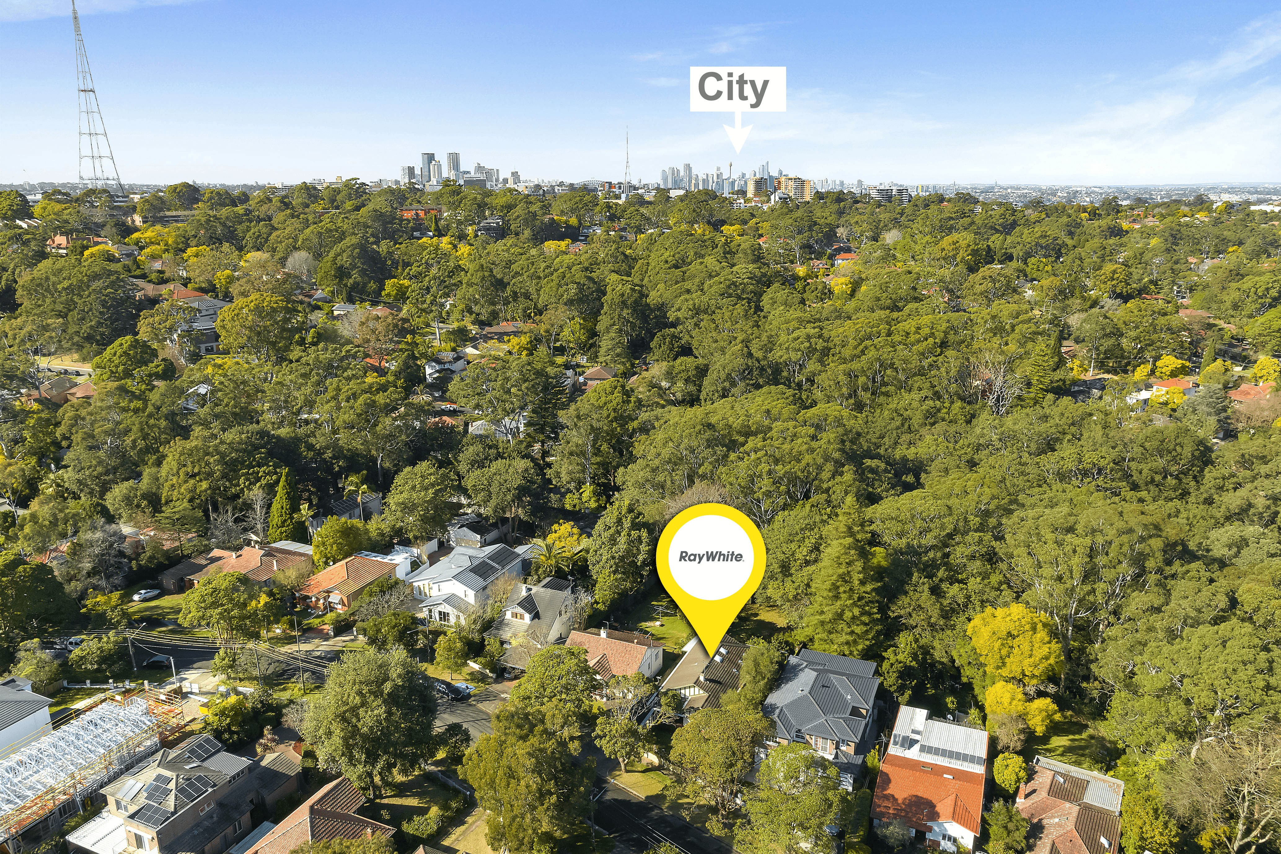 56 Eddy Road, CHATSWOOD, NSW 2067