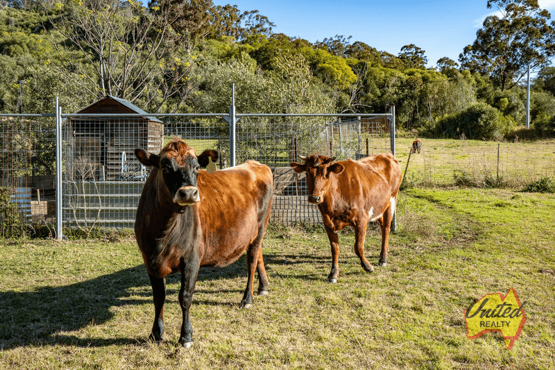 15 Proud Place, Mount Hunter, NSW 2570