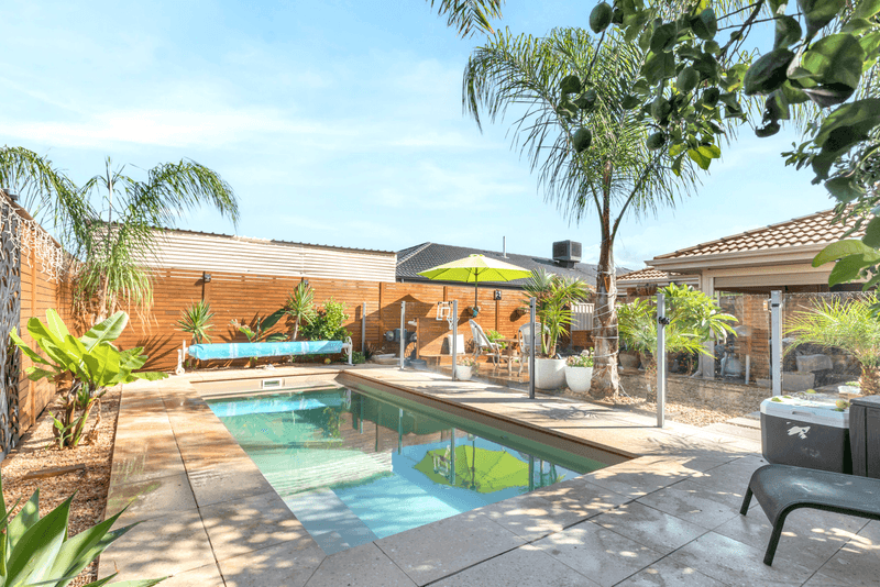 8 Themis Drive, MUNNO PARA WEST, SA 5115