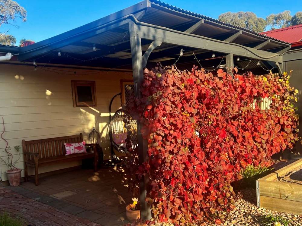 50 Dunure Terrace, Jamestown, SA 5491