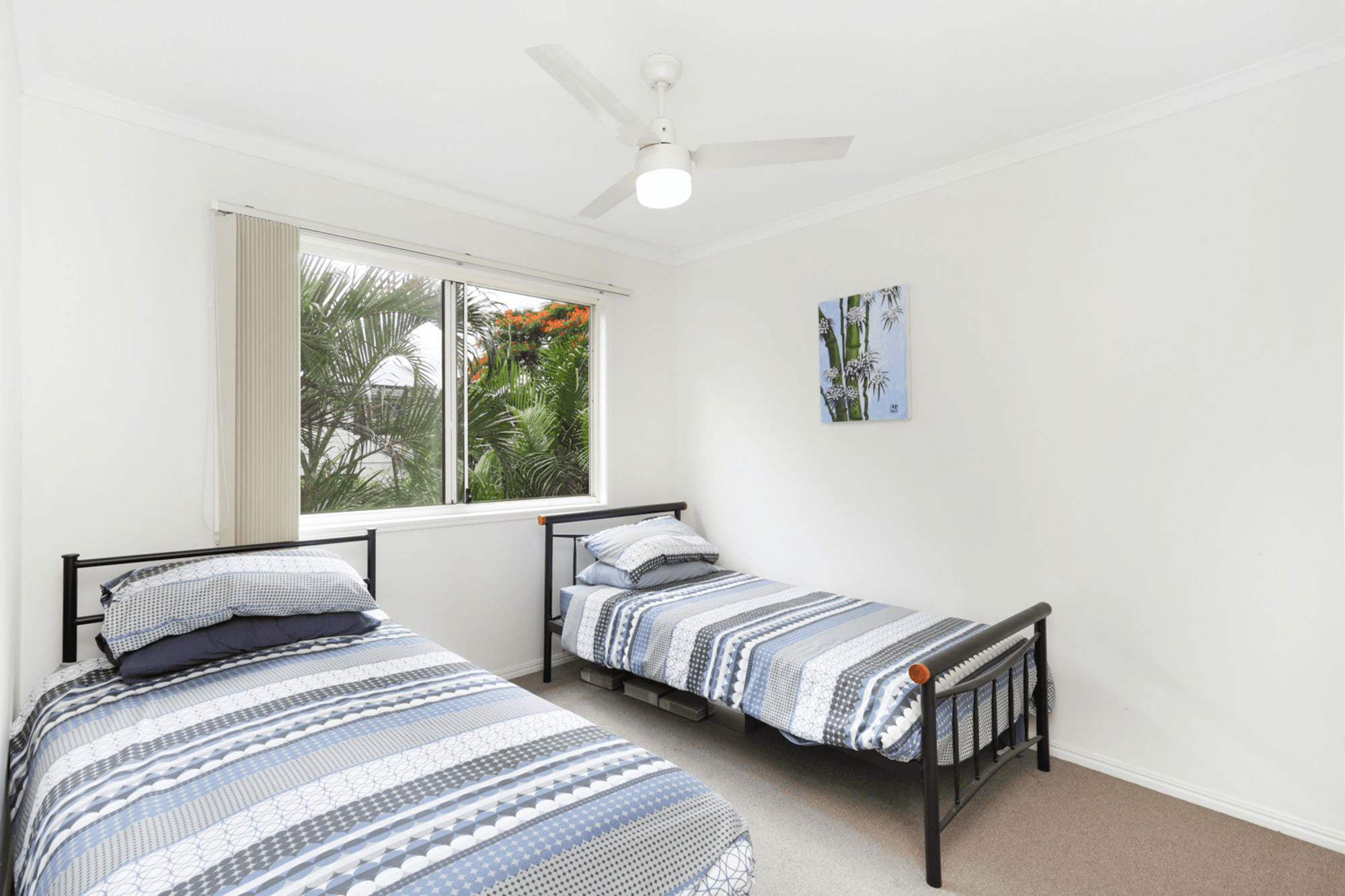 24 Fleming Street, YANDINA, QLD 4561