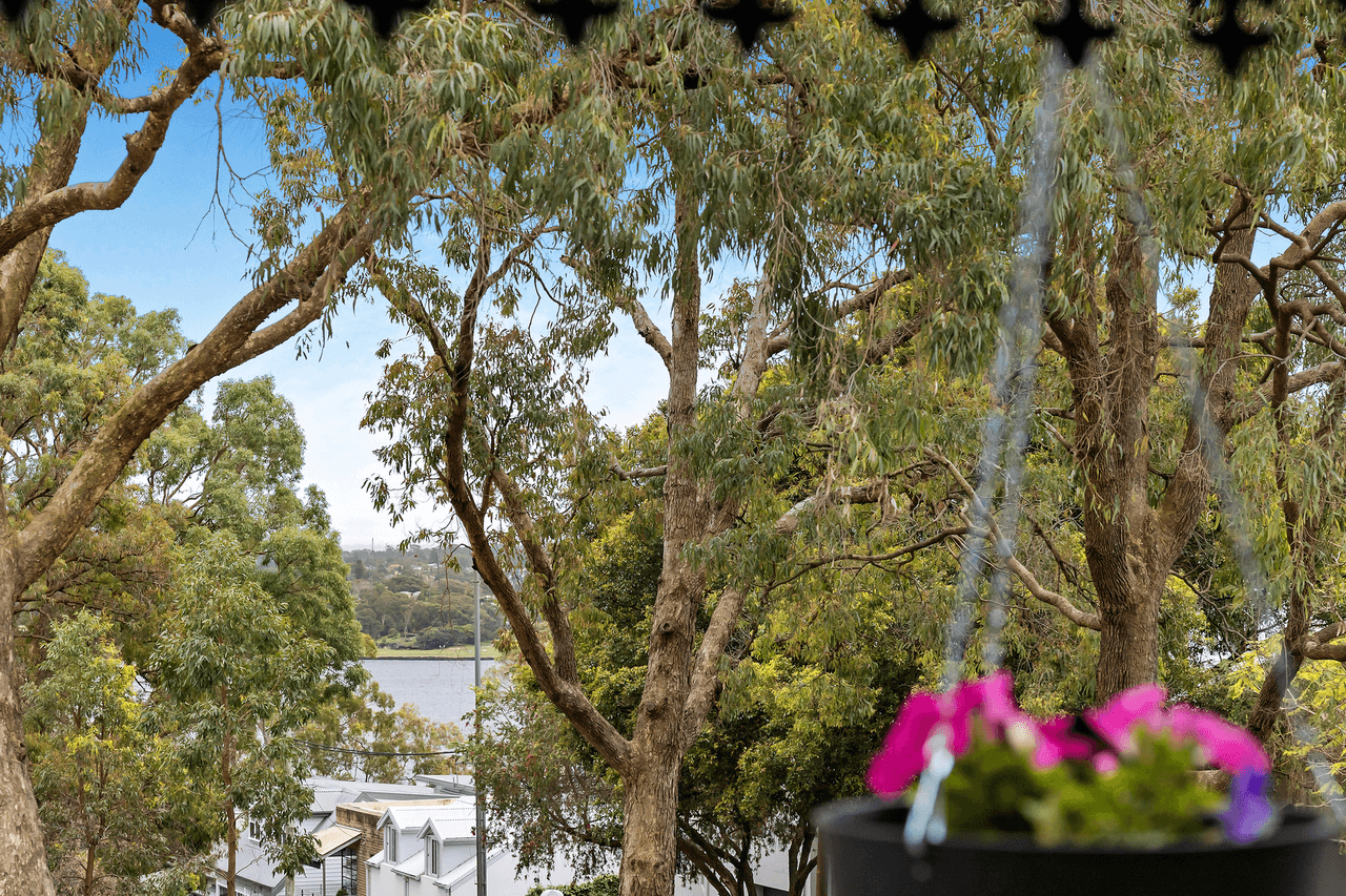111 Birchgrove Road, Birchgrove, NSW 2041