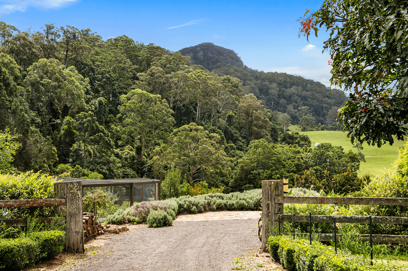 237 Bunkers Hill Road, Barrengarry, NSW 2577