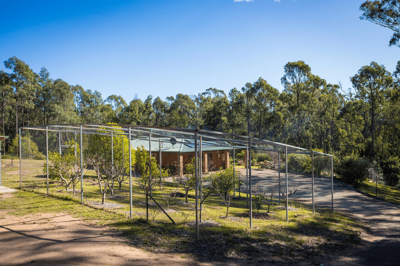 824 Burragate Rd, WYNDHAM, NSW 2550