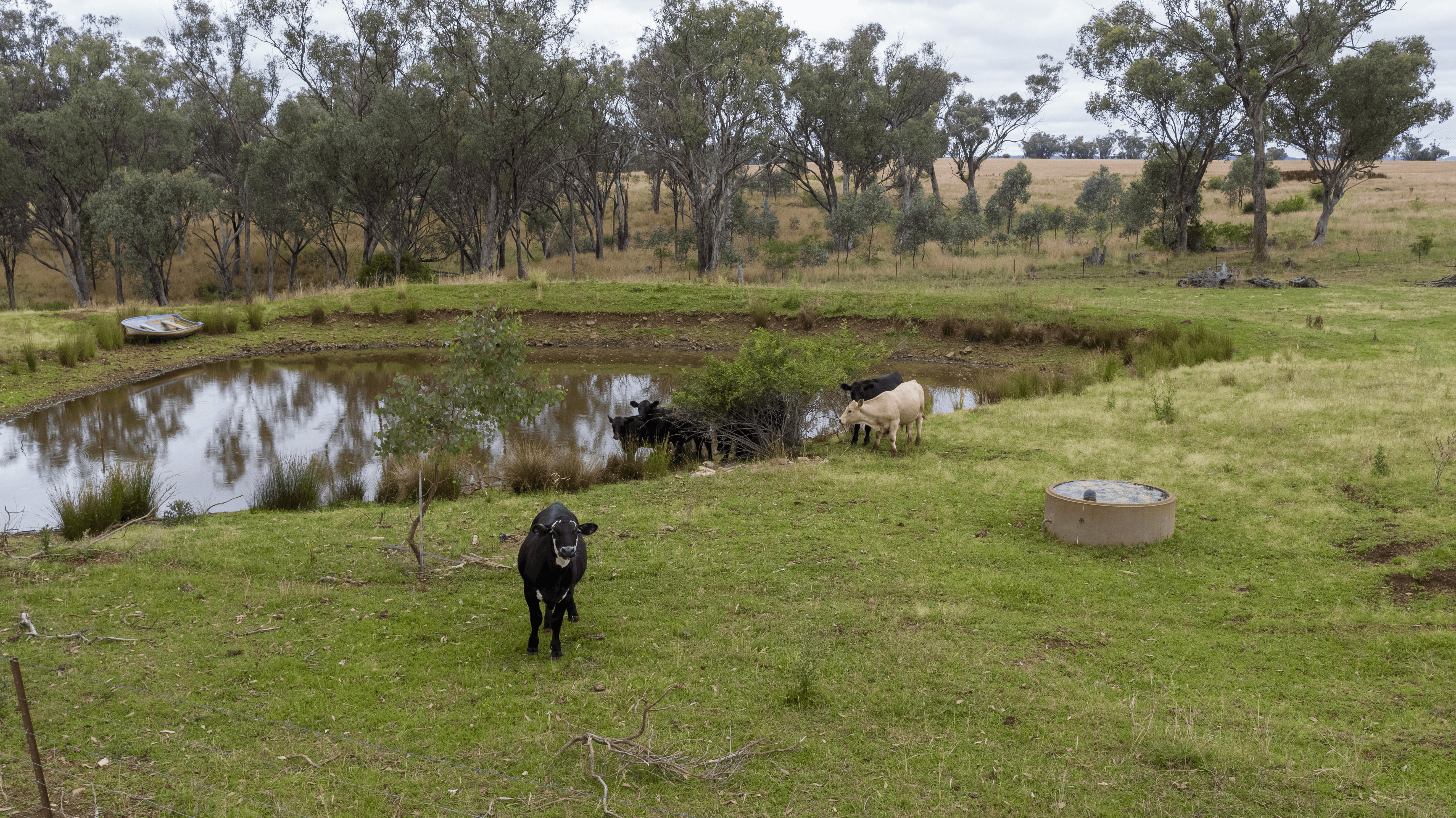 95 Copeton Dam Rd, Inverell, NSW 2360