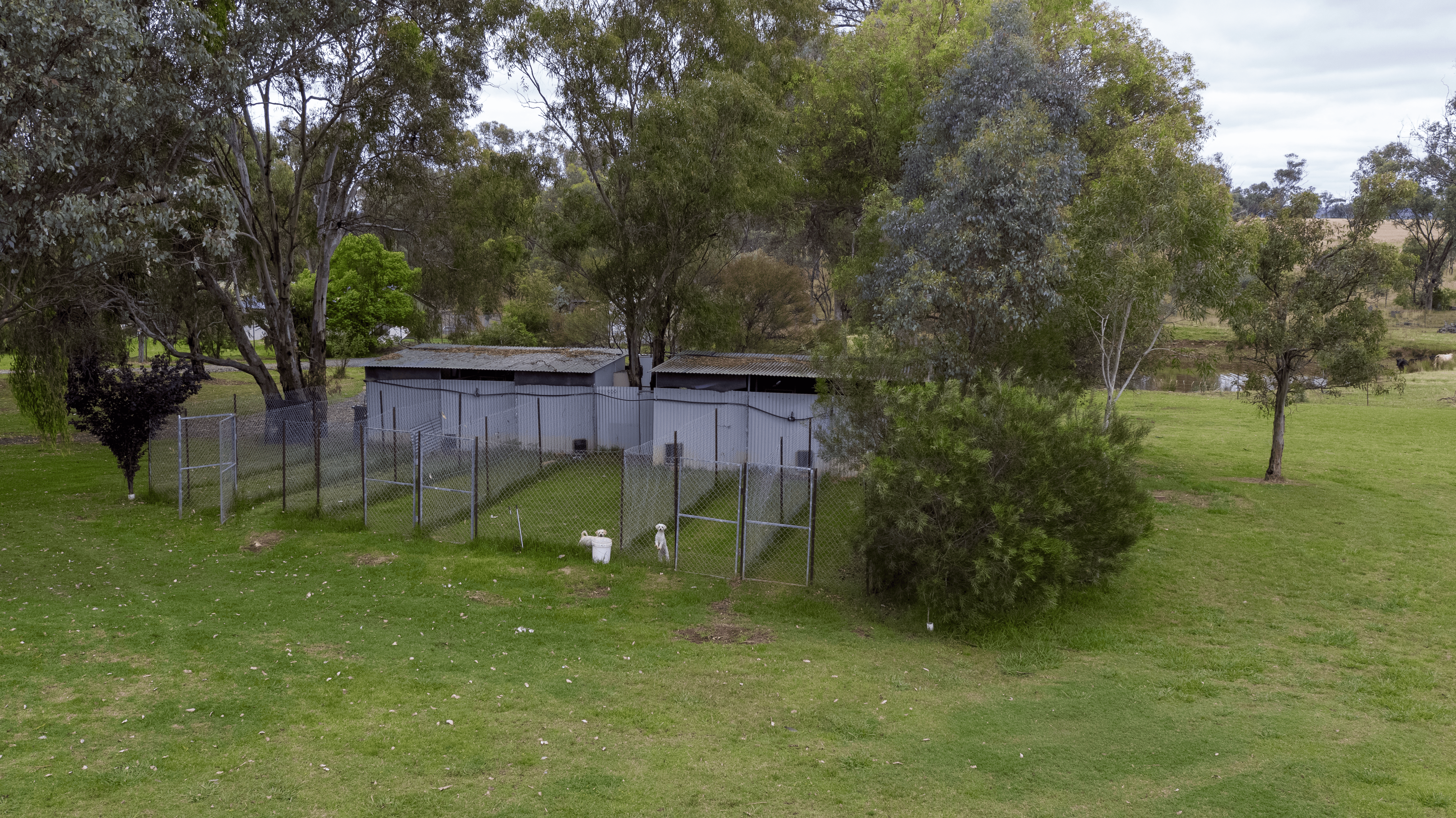 95 Copeton Dam Rd, Inverell, NSW 2360