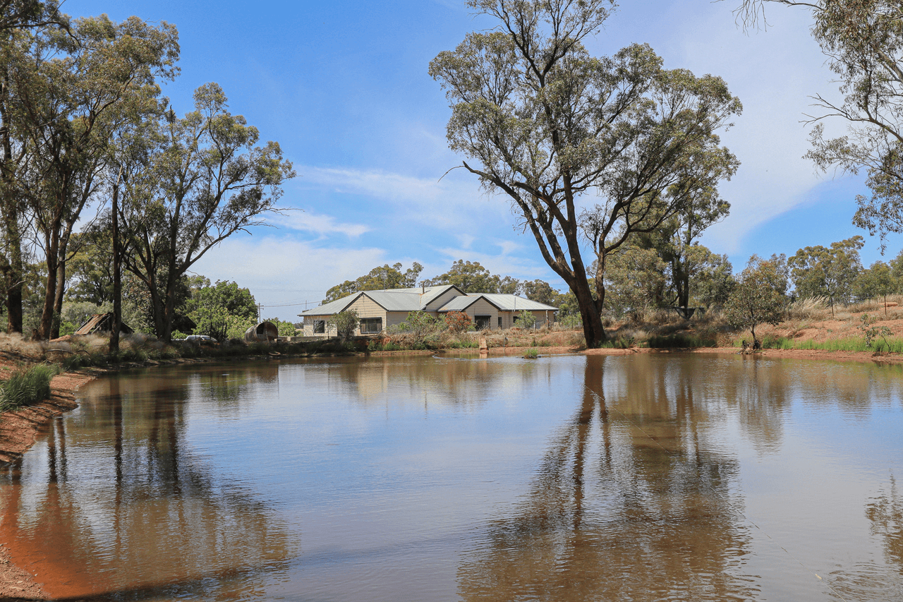 1951 Alleena Road, ALLEENA, NSW 2671