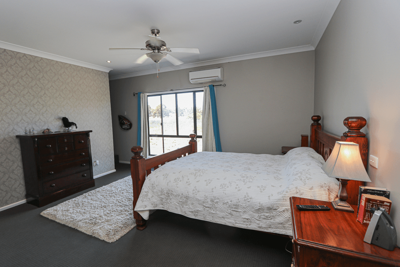 1951 Alleena Road, ALLEENA, NSW 2671