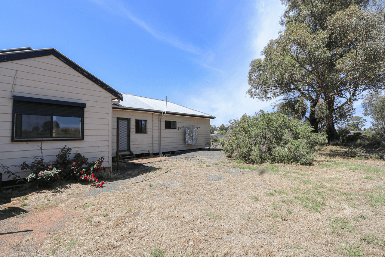 1951 Alleena Road, ALLEENA, NSW 2671