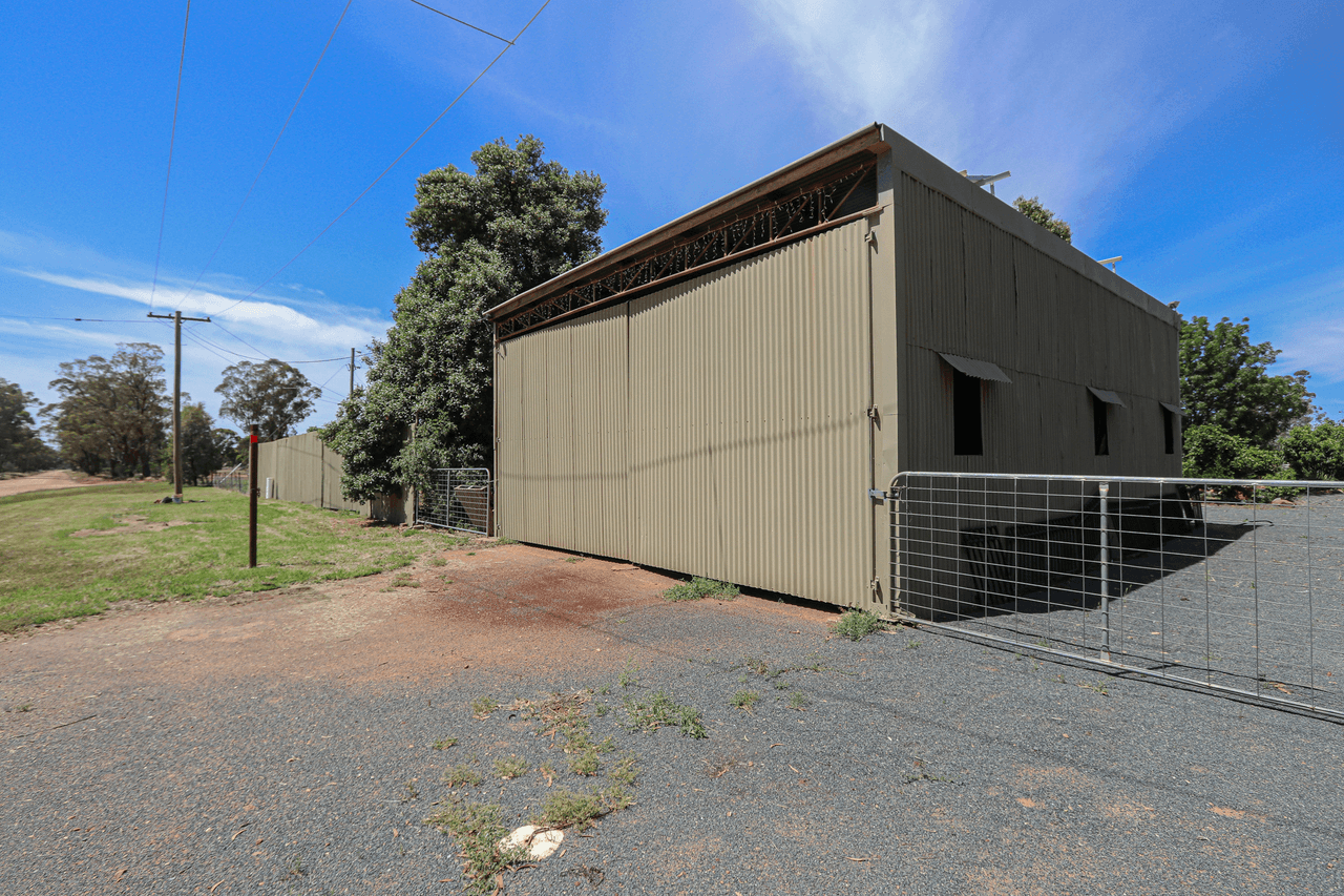 1951 Alleena Road, ALLEENA, NSW 2671