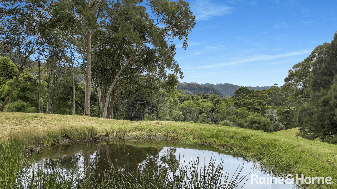 454 Strongs Road, JASPERS BRUSH, NSW 2535