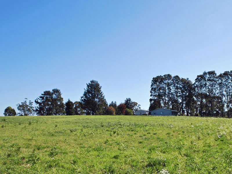 Lot 1 Euloo Road, PEATS RIDGE, NSW 2250