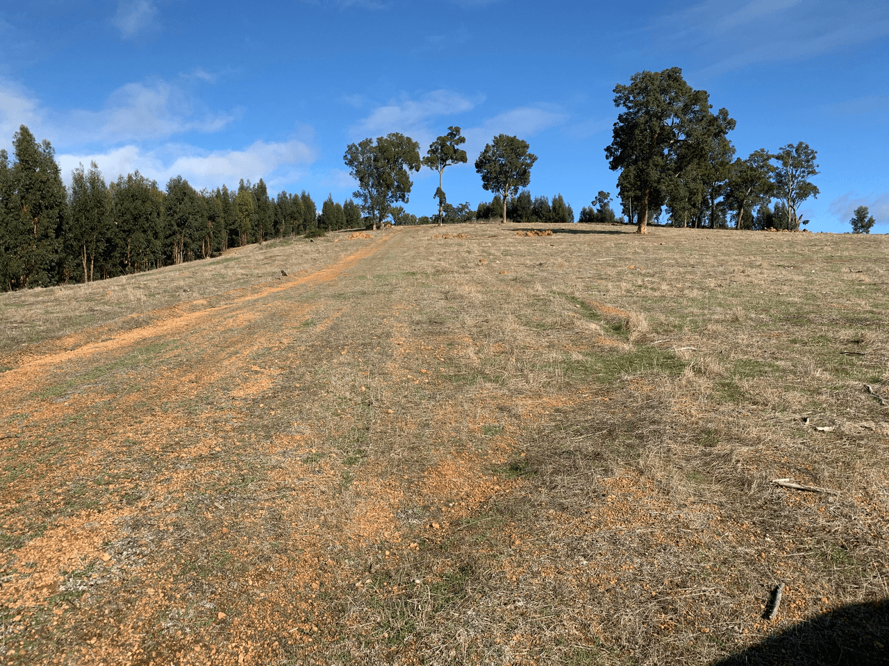 Lot 1 Donnybrook-Boyup Brook Road, MUMBALLUP, WA 6225