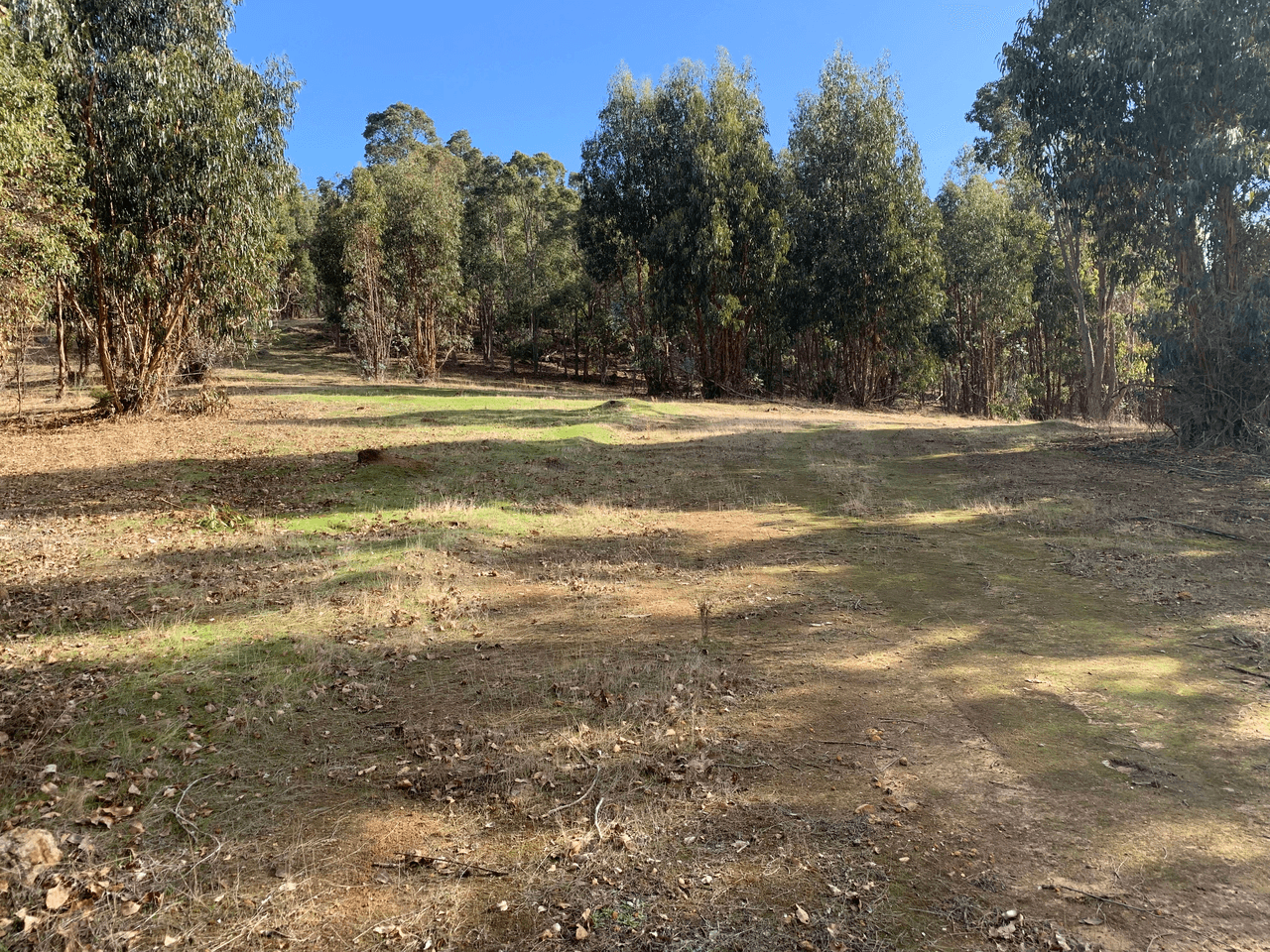 Lot 1 Donnybrook-Boyup Brook Road, MUMBALLUP, WA 6225