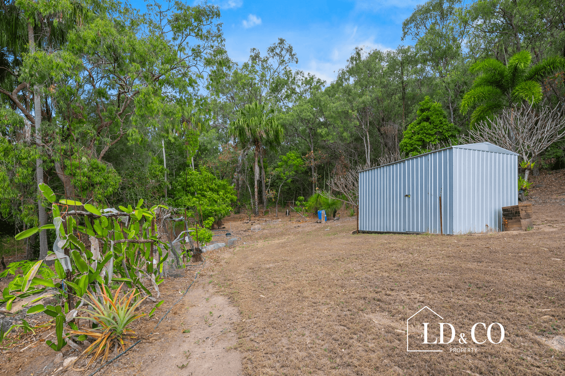 172 Ball Bay Road, BALL BAY, QLD 4741