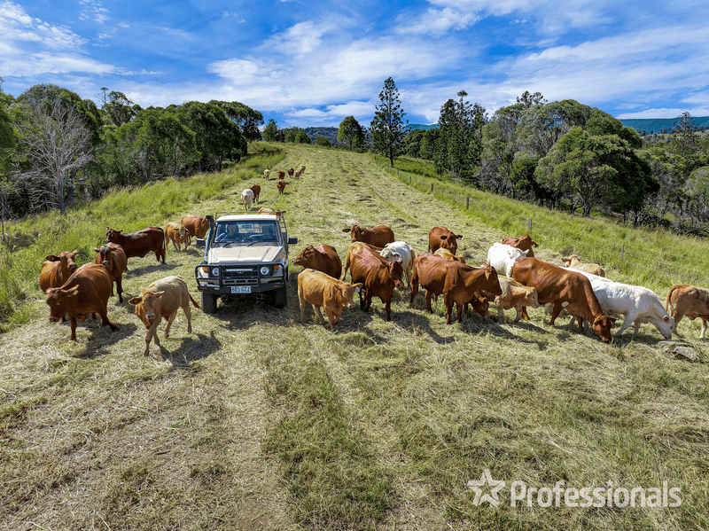 247 Maher Road, Coles Creek, QLD 4570