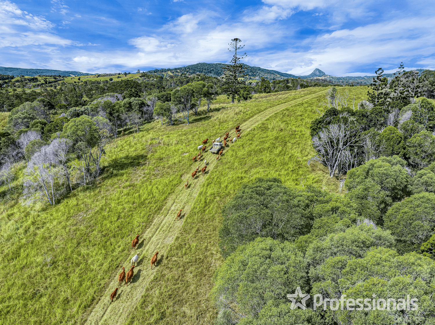 247 Maher Road, Coles Creek, QLD 4570