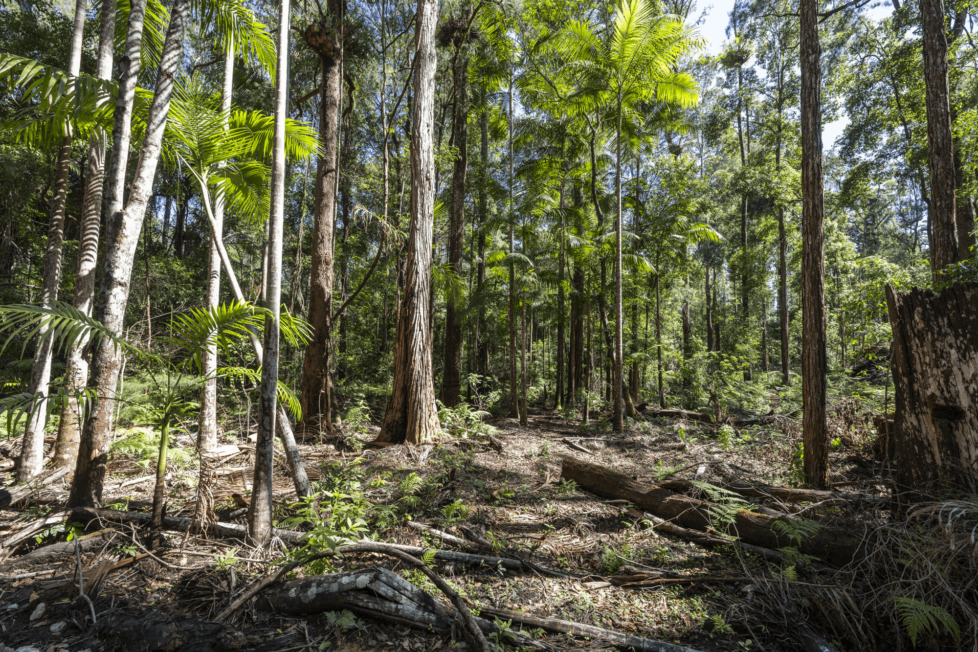 42 Gundarene Road Lowanna,Coffs Harbour, NSW 2450