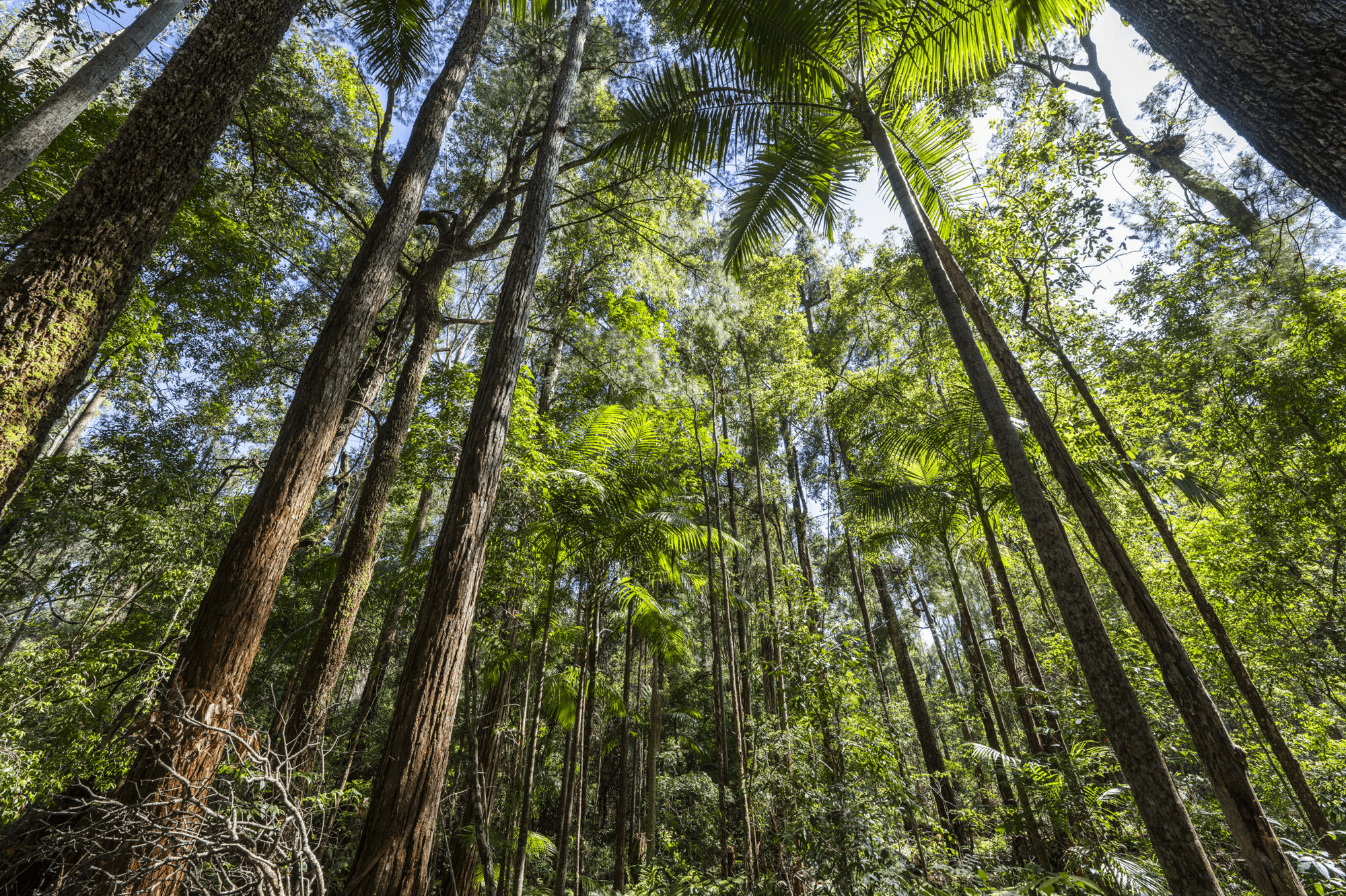 42 Gundarene Road Lowanna,Coffs Harbour, NSW 2450