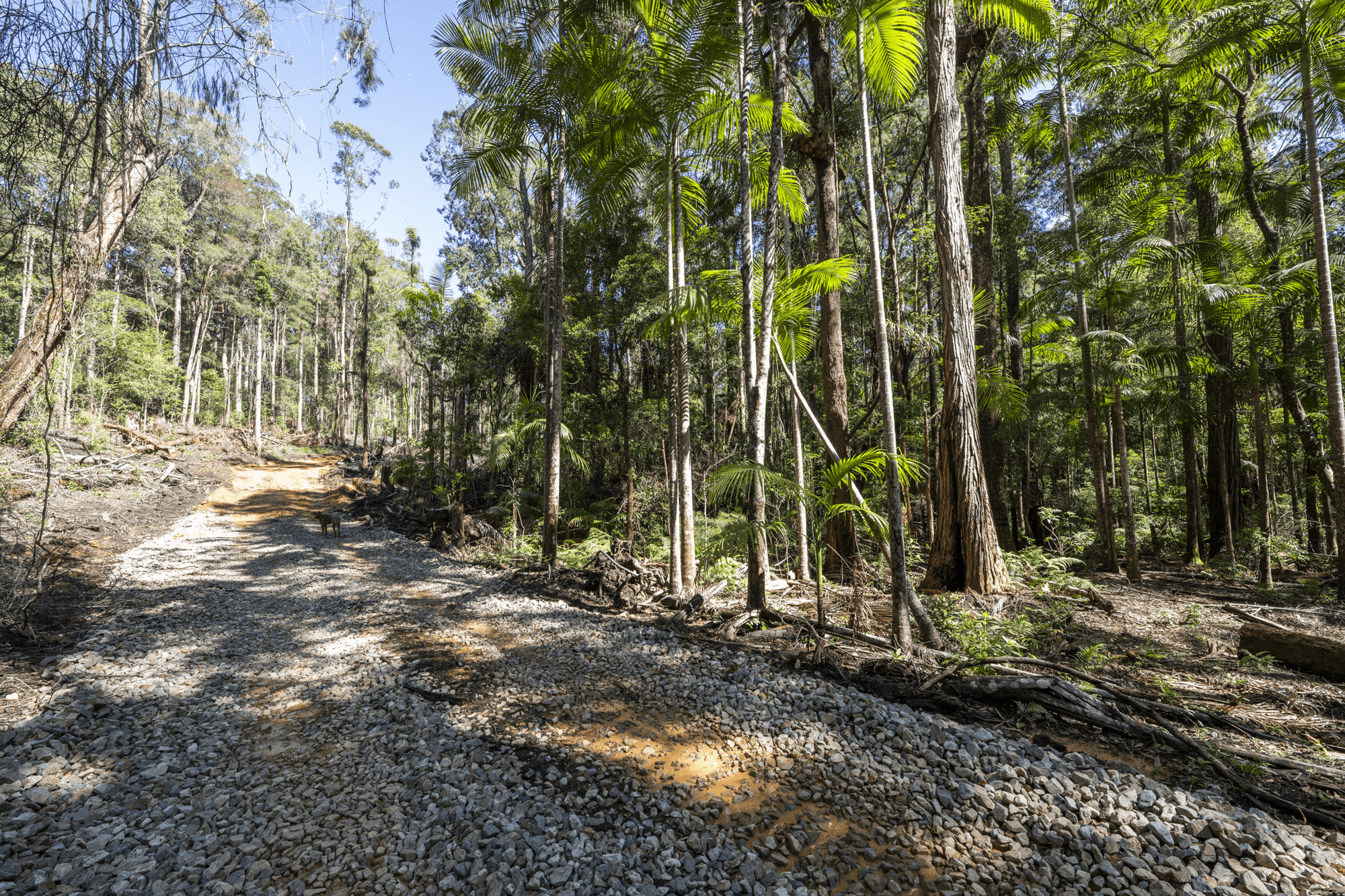 42 Gundarene Road Lowanna,Coffs Harbour, NSW 2450
