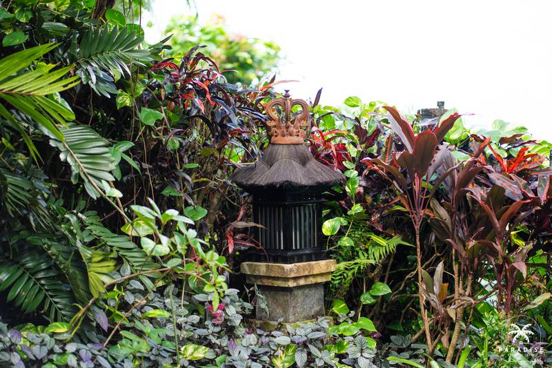 4/17 Colonel Cummings Drive, PALM COVE, QLD 4879