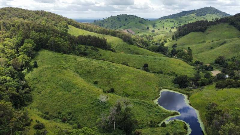 113 Antimony Road, NEERDIE, QLD 4570