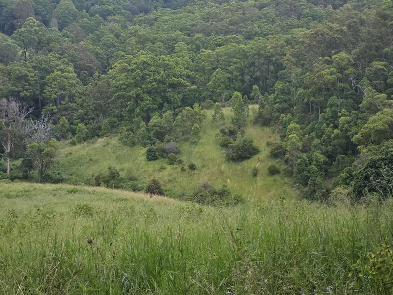 113 Antimony Road, NEERDIE, QLD 4570