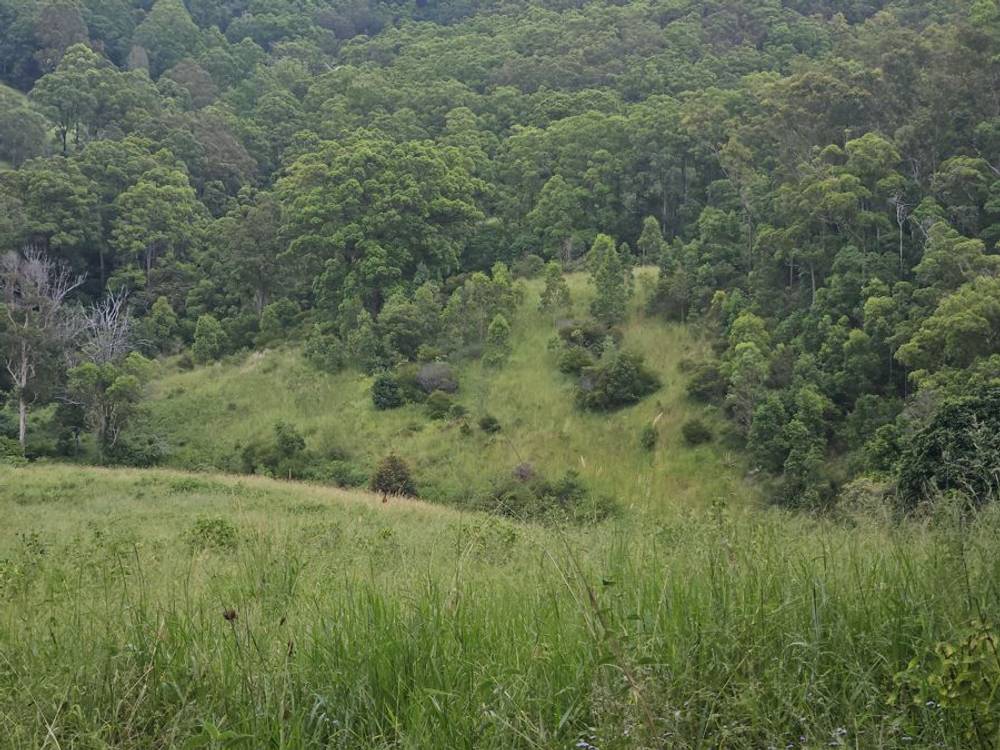 113 Antimony Road, NEERDIE, QLD 4570