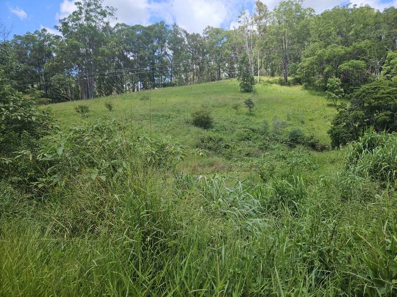 113 Antimony Road, NEERDIE, QLD 4570