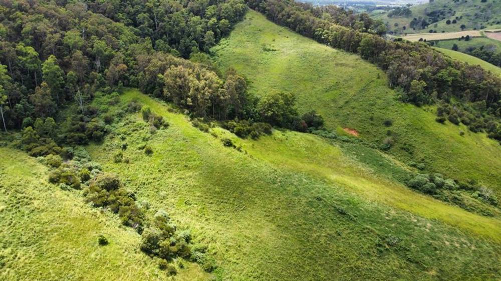 113 Antimony Road, NEERDIE, QLD 4570