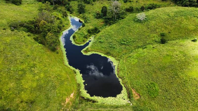 113 Antimony Road, NEERDIE, QLD 4570