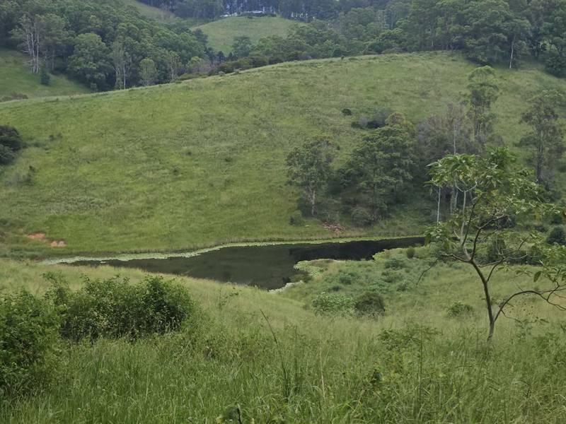 113 Antimony Road, NEERDIE, QLD 4570