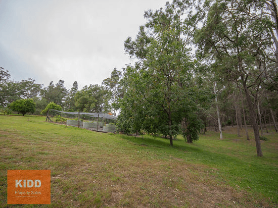 217 Sternbeck Road, BUCKETTY, NSW 2250